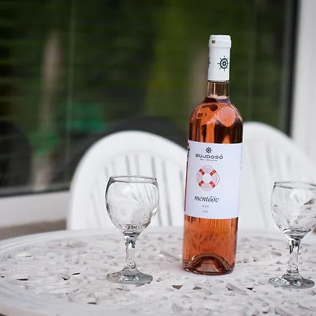 Boathouse With Sauna And Salt Appartement *